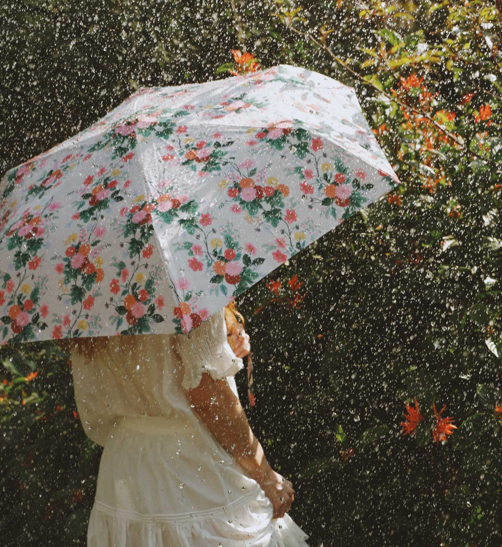 Umbrella - Dahlia