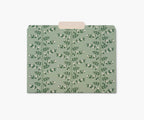 Assorted File Folders - Dahlia