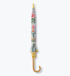 Umbrella - Garden Study