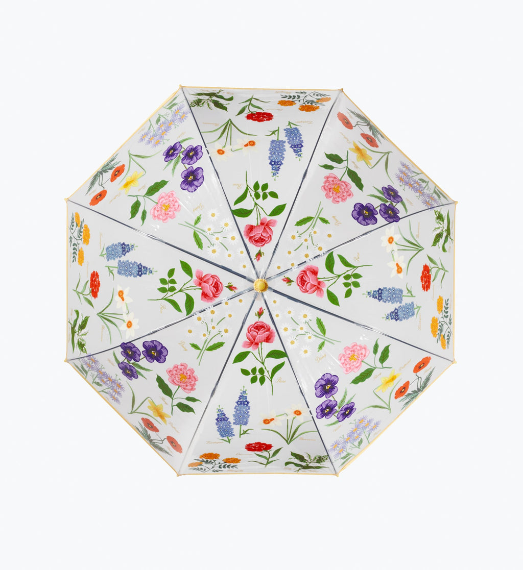 Umbrella - Garden Study
