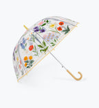 Umbrella - Garden Study