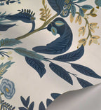 Peacock Wallpaper - Blue & White