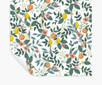 Citrus Grove Peel & Stick Wallpaper - White