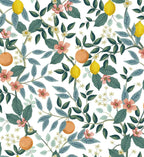 Citrus Grove Peel & Stick Wallpaper - White